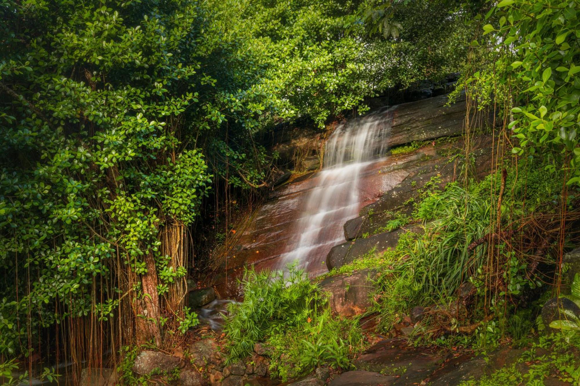 Villa Vajrapani Kandy Bagian luar foto